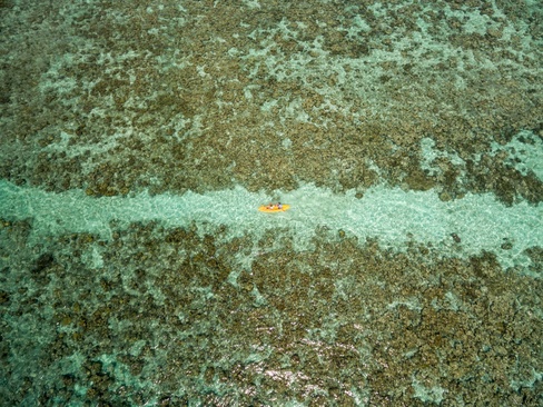 Plumeria Maldives