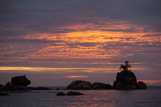 Anse Soleil Beachcomber