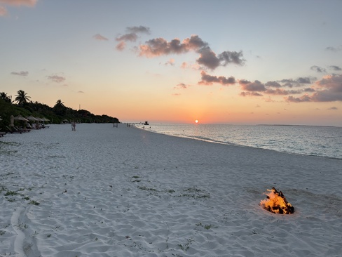 The Barefoot Eco Hotel