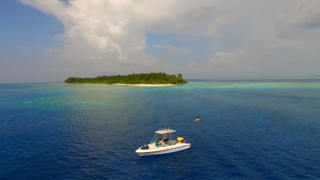 Plumeria Maldives