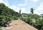 Panwaburi Beachfront Resort