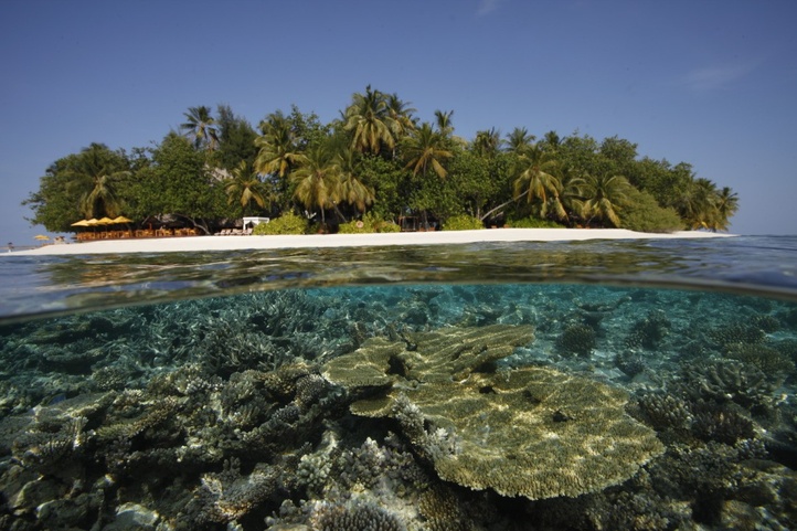 Dhawa Ihuru (Ex. Angsana Ihuru)