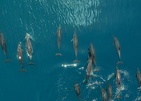 So/ Maldives