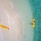 Plumeria Maldives