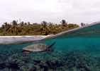 Eriyadu Island Resort