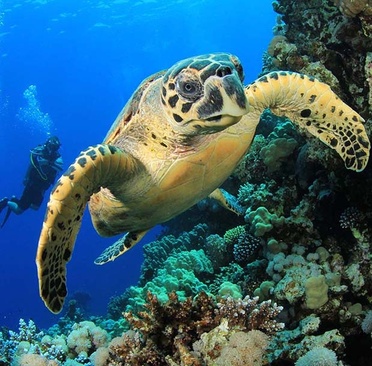 Jawakara Islands Maldives