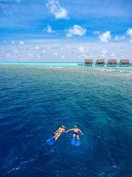 Niva Kuramathi Maldives
