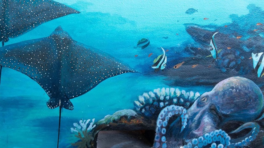 Dhawa Ihuru (Ex. Angsana Ihuru)