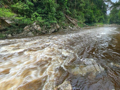 Mutiara Taman Negara Resort