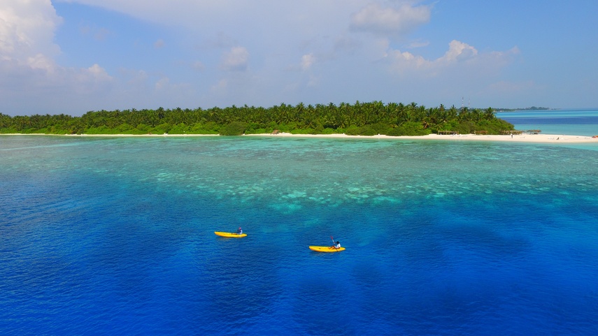 Plumeria Maldives