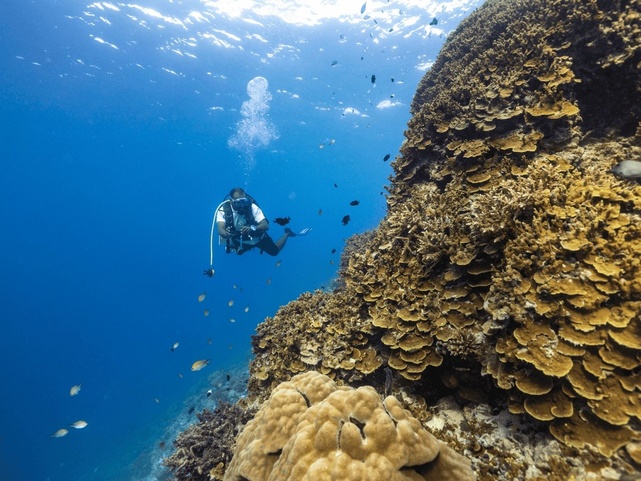 Dhawa Ihuru (Ex. Angsana Ihuru)