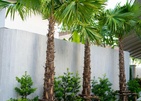 Panwaburi Beachfront Resort