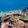 Eriyadu Island Resort