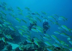 Tui Blue Bahari Zanzibar