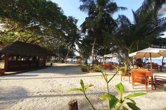 Plumeria Maldives