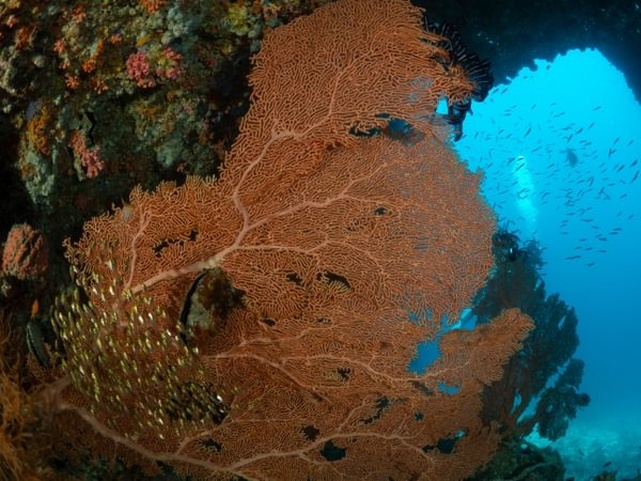 Eriyadu Island Resort