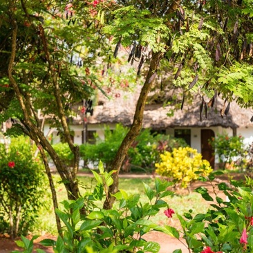 Sandies Baobab Beach