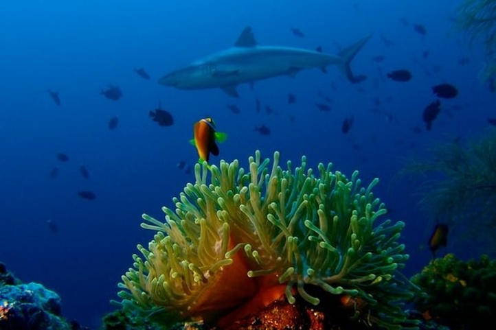 Eriyadu Island Resort