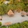 Uzuri Villa - Boutique Hotel