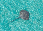 So/ Maldives
