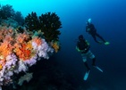 Eriyadu Island Resort