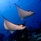 Eriyadu Island Resort