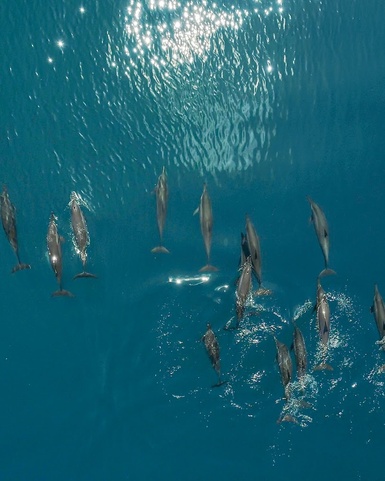 So/ Maldives