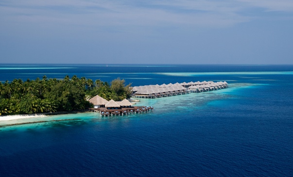 Coco Bodu Hithi