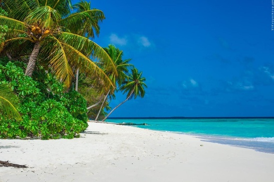 Stingray Beach Inn