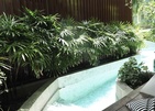 Panwaburi Beachfront Resort