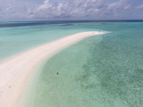 Plumeria Maldives