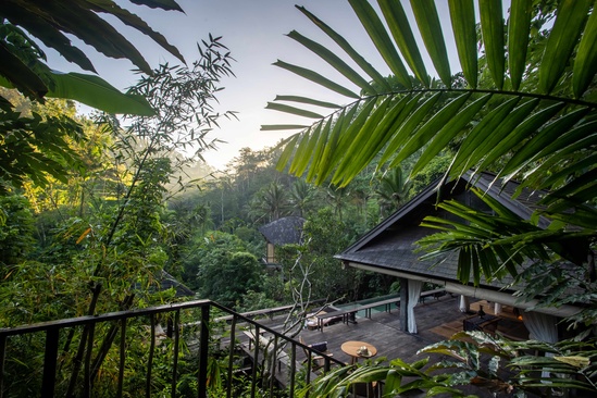 Buahan, A Banyan Tree Escape