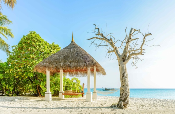 Palm Beach Resort & Spa Maldives