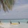 Plumeria Maldives