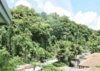Panwaburi Beachfront Resort
