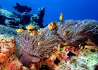Eriyadu Island Resort