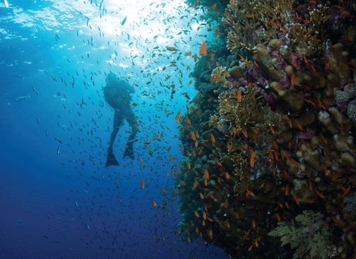 Huvafen Fushi