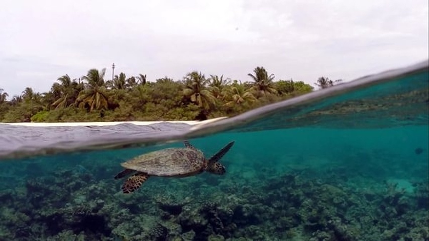 Eriyadu Island Resort