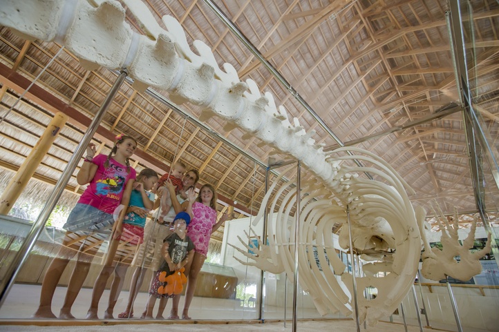 Niva Kuramathi Maldives