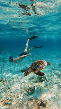 The Ritz-Carlton Maldives Fari Islands