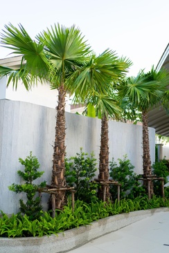 Panwaburi Beachfront Resort