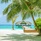 Palm Beach Resort & Spa Maldives