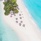 Palm Beach Resort & Spa Maldives