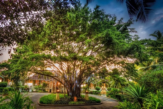 Banyan Tree Seychelles