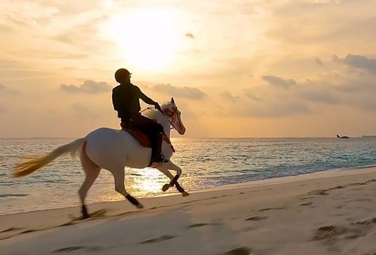 Siyam World