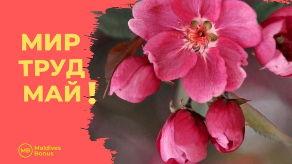 График работы в праздничные дни