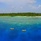 Plumeria Maldives