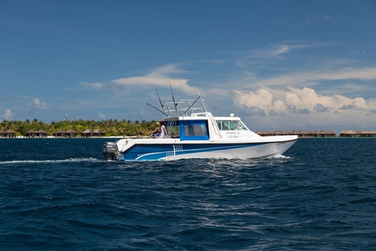 Veligandu Island Resort