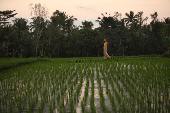 Alaya Resort Ubud