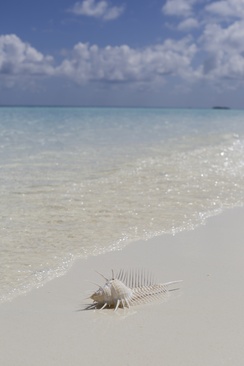 Nika Island Resort & Spa, Maldives